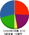 桂建設 貸借対照表 2009年8月期 桂建設 貸借対照表 2009年8月期