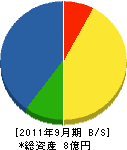 寺島塗装店 貸借対照表 2011年9月期 寺島塗装店 貸借対照表 2011年9月期