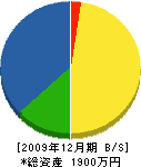 辰巳電気工事 貸借対照表 2009年12月期 辰巳電気工事 貸借対照表 2009年12月期
