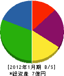 浦野工業 貸借対照表 2012年1月期 浦野工業 貸借対照表 2012年1月期
