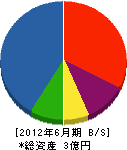 ケイディーエル 貸借対照表 2012年6月期 ケイディーエル 貸借対照表 2012年6月期