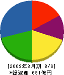 岩崎電気 貸借対照表 2009年3月期 岩崎電気 貸借対照表 2009年3月期
