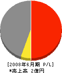 リアルテクノス 損益計算書 2008年6月期 リアルテクノス 損益計算書 2008年6月期