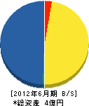 朝日電気工業 貸借対照表 2012年6月期 朝日電気工業 貸借対照表 2012年6月期