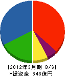 南海辰村建設 貸借対照表 2012年3月期 南海辰村建設 貸借対照表 2012年3月期