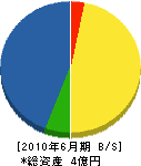 朝日電気工業 貸借対照表 2010年6月期 朝日電気工業 貸借対照表 2010年6月期