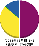 柴道本店 貸借対照表 2011年12月期 柴道本店 貸借対照表 2011年12月期