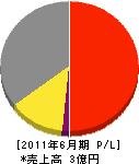 福本水道工業 損益計算書 2011年6月期 福本水道工業 損益計算書 2011年6月期