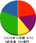 アクティオ 貸借対照表 2010年12月期 アクティオ 貸借対照表 2010年12月期