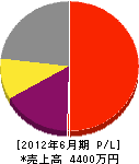 モッチ技研 損益計算書 2012年6月期 モッチ技研 損益計算書 2012年6月期