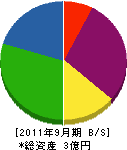 瀧澤建材 貸借対照表 2011年9月期 瀧澤建材 貸借対照表 2011年9月期