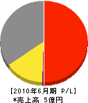 大成塗装 損益計算書 2010年6月期 大成塗装 損益計算書 2010年6月期