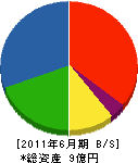 小西美術工藝社 貸借対照表 2011年6月期 小西美術工藝社 貸借対照表 2011年6月期