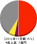 トータル環境 損益計算書 2012年11月期 トータル環境 損益計算書 2012年11月期