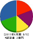 丸一開発 貸借対照表 2011年6月期 丸一開発 貸借対照表 2011年6月期