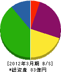 沖電開発 貸借対照表 2012年3月期 沖電開発 貸借対照表 2012年3月期