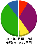 長島装芸社 貸借対照表 2011年8月期 長島装芸社 貸借対照表 2011年8月期