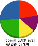 合同アーバス 貸借対照表 2008年12月期 合同アーバス 貸借対照表 2008年12月期