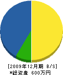 中村建築 貸借対照表 2009年12月期 中村建築 貸借対照表 2009年12月期