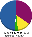 安藤工業 貸借対照表 2009年12月期 安藤工業 貸借対照表 2009年12月期