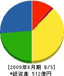 ショーボンド建設 貸借対照表 2009年6月期 ショーボンド建設 貸借対照表 2009年6月期