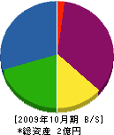 岡崎組 貸借対照表 2009年10月期 岡崎組 貸借対照表 2009年10月期