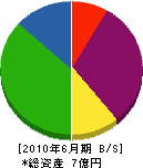 吉野土建 貸借対照表 2010年6月期 吉野土建 貸借対照表 2010年6月期
