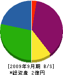 丸實佐藤板金 貸借対照表 2009年9月期 丸實佐藤板金 貸借対照表 2009年9月期