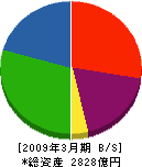 ユニチカ 貸借対照表 2009年3月期 ユニチカ 貸借対照表 2009年3月期