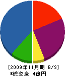 レオ化研 貸借対照表 2009年11月期 レオ化研 貸借対照表 2009年11月期