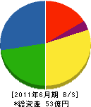 岩部建設 貸借対照表 2011年6月期 岩部建設 貸借対照表 2011年6月期