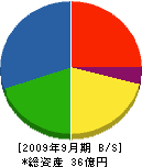 太平ビルケア 貸借対照表 2009年9月期 太平ビルケア 貸借対照表 2009年9月期