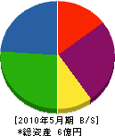 三栄建設 貸借対照表 2010年5月期 三栄建設 貸借対照表 2010年5月期