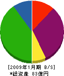 宮沢工業 貸借対照表 2009年1月期 宮沢工業 貸借対照表 2009年1月期