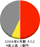 G.C.SINKO 損益計算書 2008年6月期 G.C.SINKO 損益計算書 2008年6月期