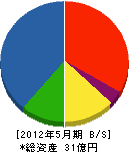 セイリツ工業 貸借対照表 2012年5月期 セイリツ工業 貸借対照表 2012年5月期