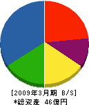 テクノ・ナミケン 貸借対照表 2009年3月期 テクノ・ナミケン 貸借対照表 2009年3月期