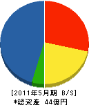 アネス 貸借対照表 2011年5月期 アネス 貸借対照表 2011年5月期