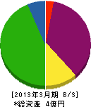 タイメイテック 貸借対照表 2013年3月期 タイメイテック 貸借対照表 2013年3月期