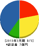 村山電気 貸借対照表 2013年3月期 村山電気 貸借対照表 2013年3月期