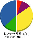 大師組 貸借対照表 2009年6月期 大師組 貸借対照表 2009年6月期