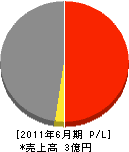 堀井建設 損益計算書 2011年6月期 堀井建設 損益計算書 2011年6月期