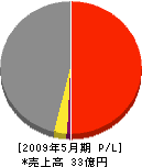 上田工業 損益計算書 2009年5月期 上田工業 損益計算書 2009年5月期