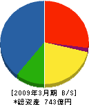 東光電気工事 貸借対照表 2009年3月期 東光電気工事 貸借対照表 2009年3月期