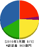 中国塗料 貸借対照表 2010年3月期 中国塗料 貸借対照表 2010年3月期
