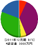 久建興業 貸借対照表 2011年12月期 久建興業 貸借対照表 2011年12月期