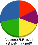 日東紡績 貸借対照表 2009年3月期 日東紡績 貸借対照表 2009年3月期