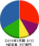 サノヤス・ヒシノ明昌 貸借対照表 2010年3月期 サノヤス・ヒシノ明昌 貸借対照表 2010年3月期