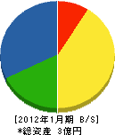 荻原組 貸借対照表 2012年1月期 荻原組 貸借対照表 2012年1月期