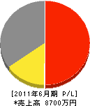 明彩工業 損益計算書 2011年6月期 明彩工業 損益計算書 2011年6月期